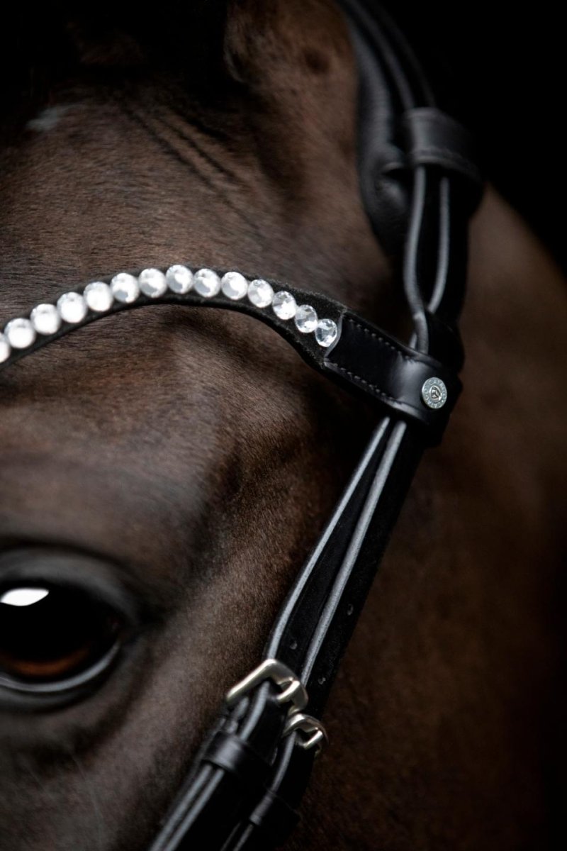 CATAGO - Gentle Bridle Pandebånd - Sort - animondo.dk - 800293001