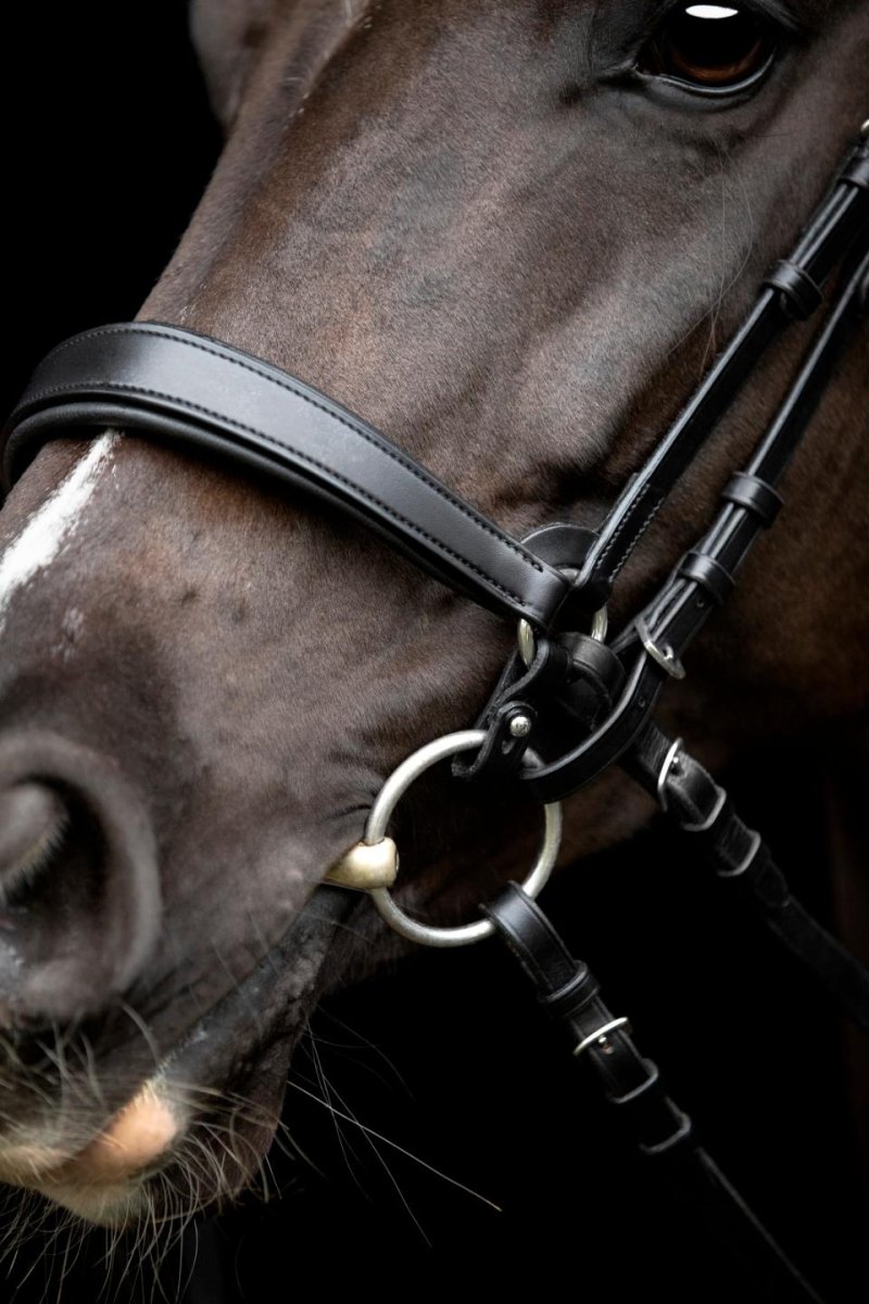 CATAGO - Gentle Bridle Samleringe - Sort - animondo.dk - 800330001