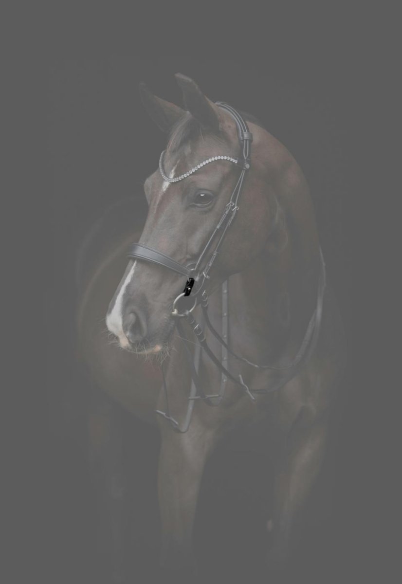 CATAGO - Gentle Bridle Samleringe - Sort - animondo.dk - 800330001