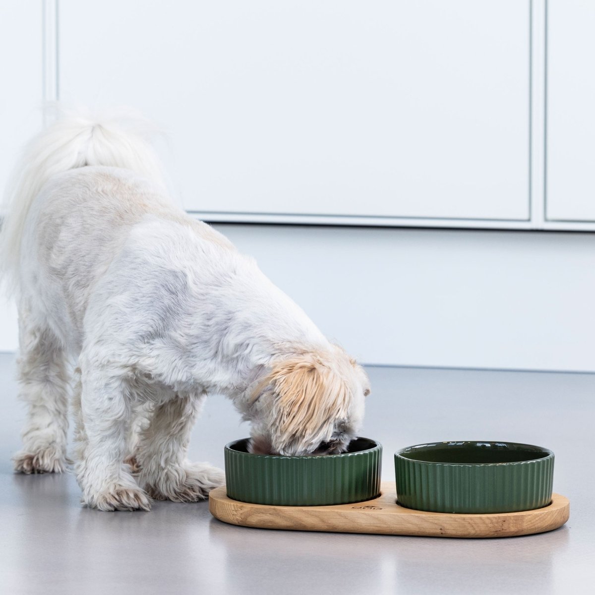 Dog Copenhagen - Kronborg Foodbar - Racing Green/Egetræ - animondo.dk - EAT0508