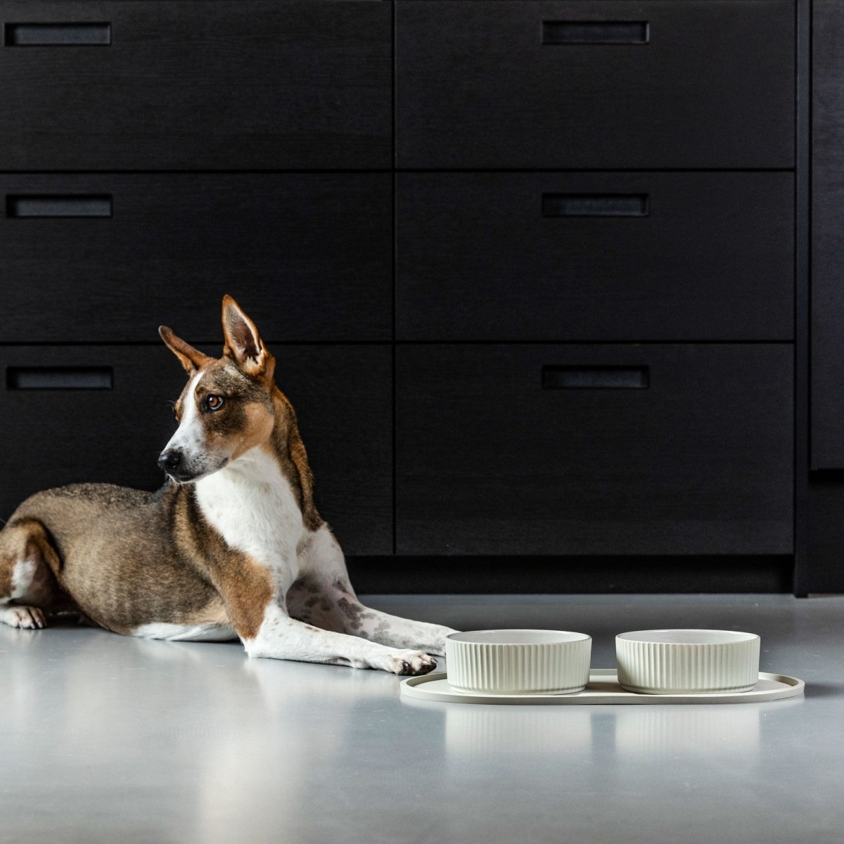 Dog Copenhagen - Kronborg Hundeskål - Caffe Latte - animondo.dk - EAT0521
