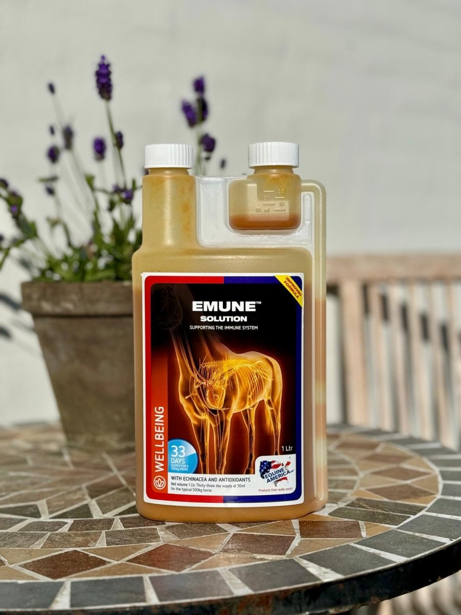 Equine America Emune - immunsystem - 1 L - animondo.dk - EQ271-UK