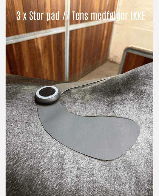 Equine LTS 3 x Stor pad til Tens - animondo.dk - LTS40202-3stk