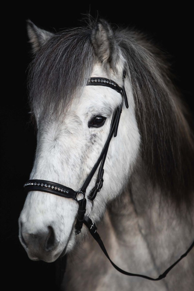 Headstall "DIAMOND" dark buckles with anthracite rhinestones - animondo.dk - KS-DIA-ANT