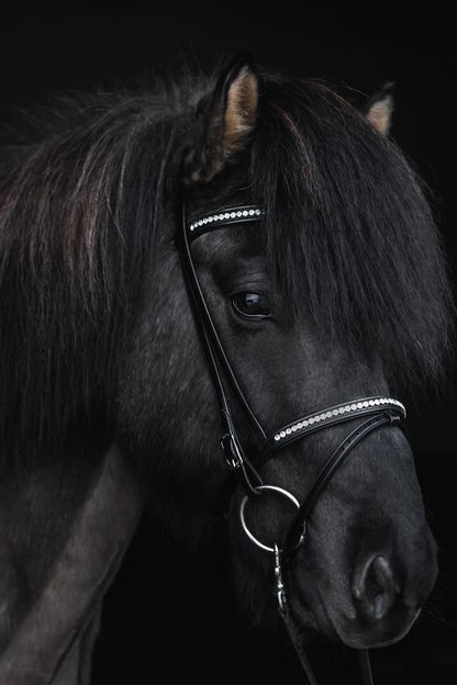 Top Reiter - "DEMANTUR" Engelsk Næsebånd - Sort/Hvid - animondo.dk - NR - DM - EK - WH