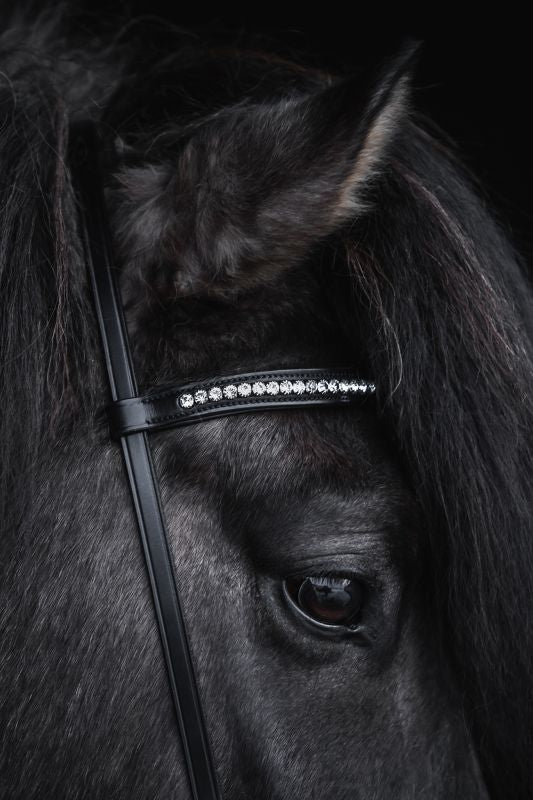 Top Reiter - "DEMANTUR" Nakkestykke til trense - Sort/Hvid - animondo.dk - KS - DM - WH