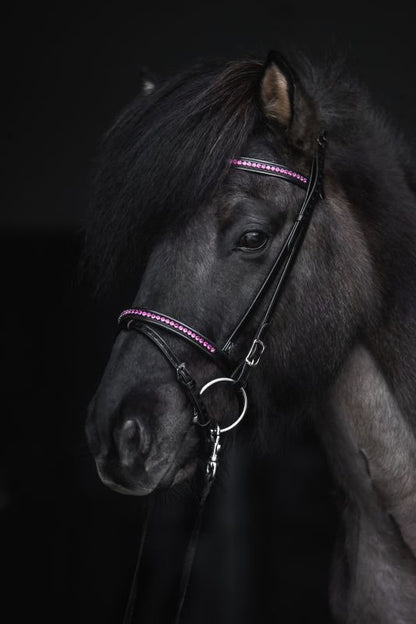 Top Reiter - "DEMANTUR" Nakkestykke til trense - Sort/Pink - animondo.dk - KS - DM - PI