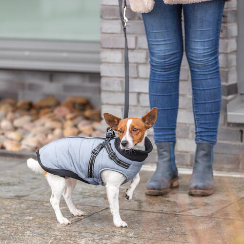 Trixie - Pontis Vinterjakke m. hundesele - Grå - animondo.dk - 