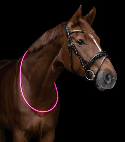 Waldhausen - Neck Strap m. LED - Pink - animondo.dk - 5733431