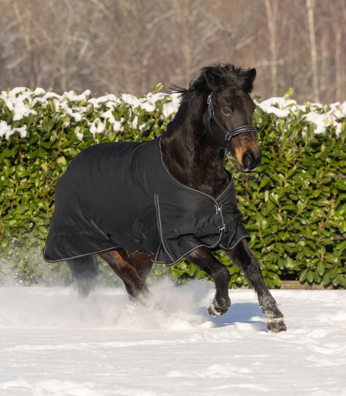 Waldhausen - Nordic Overgangsdækken - 50 g - animondo.dk - 8033501 - 095