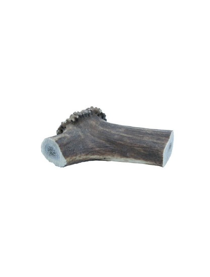 Deer Antler XXLarge 220-300g - animondo.dk