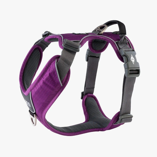 Dog Copenhagen Comfort Walk Pro™ Sele - Purple Passion - animondo.dk