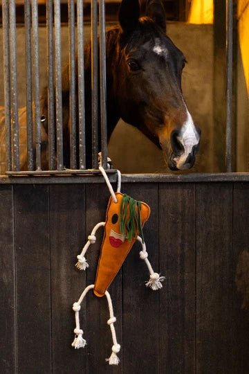 Excellent Horse Foodie Friends Carrot - animondo.dk