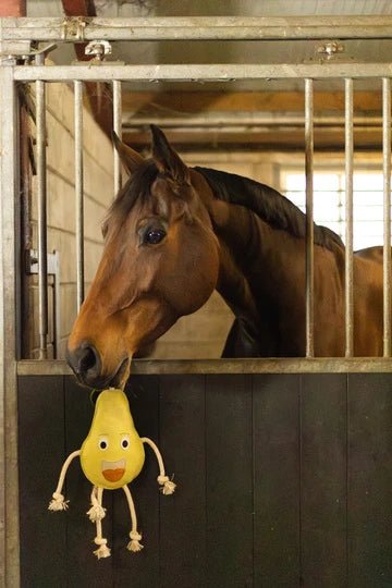 Excellent Horse Foodie Friends Pear - animondo.dk