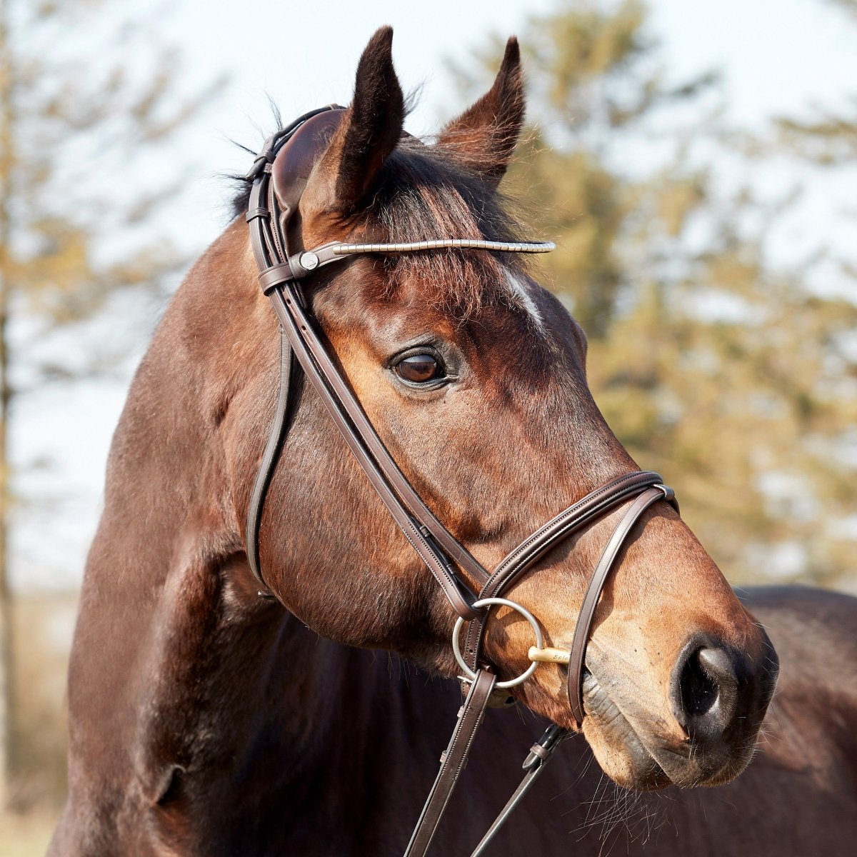 Finesse Bridles Zorro Trense, flad m. smalt næsebånd - brun/brun/sølv - animondo.dk