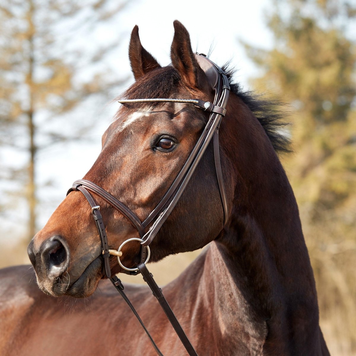 Finesse Bridles Zorro Trense, flad m. smalt næsebånd - brun/brun/sølv - animondo.dk