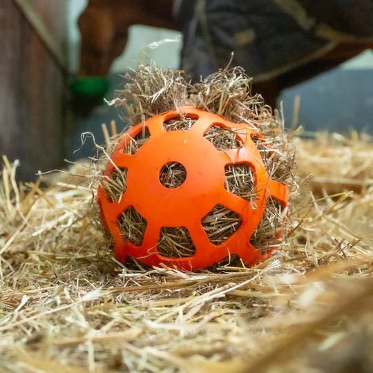 Hay Slowfeeder fun and flex 22 cm Orange Ball - animondo.dk