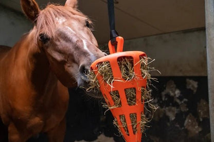 Hay Slowfeeder fun and flex 22 cm Orange carrot - animondo.dk