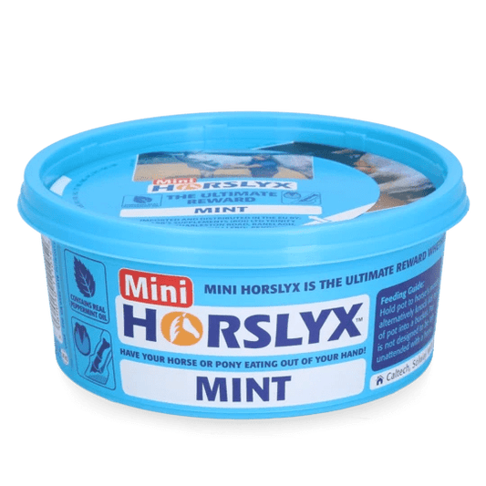 Horslyx Mini Mint - animondo.dk