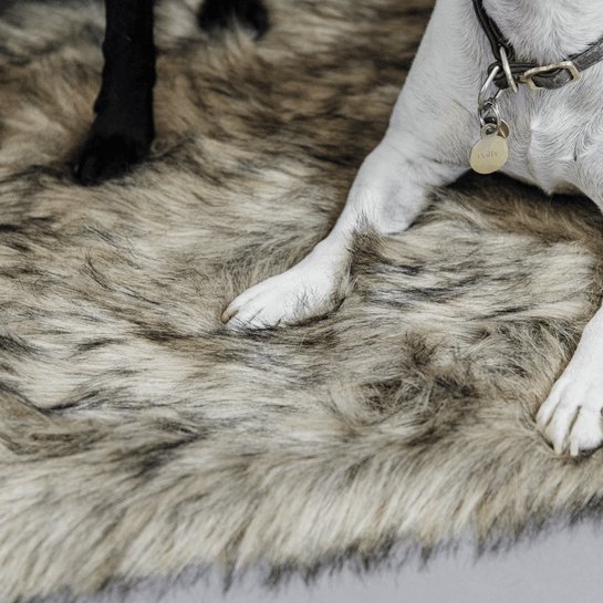 Kentucky Dog Bed to go blanket FUZZY - animondo.dk