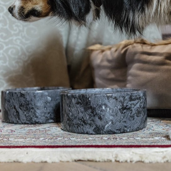 Kentucky Dog Bowl Marmor - Sort - animondo.dk