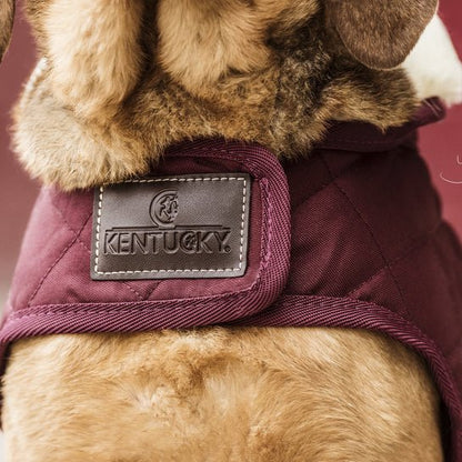 Kentucky Dog Coat Original - Bordeaux - animondo.dk