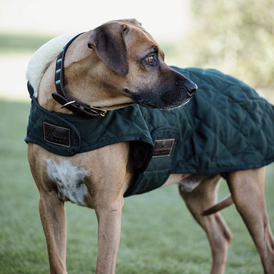 Kentucky Dog Coat Original - Mørkegrøn - animondo.dk