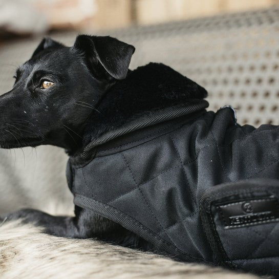Kentucky Dog Coat original Sort/Sort - animondo.dk