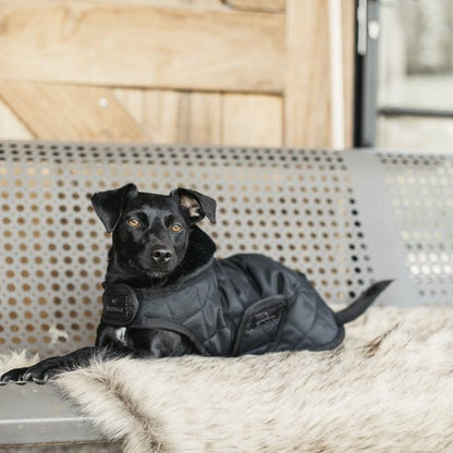 Kentucky Dog Coat original Sort/Sort - animondo.dk