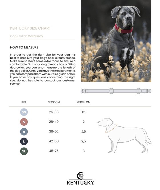 Kentucky Dog Collar corduroy - Sort - animondo.dk