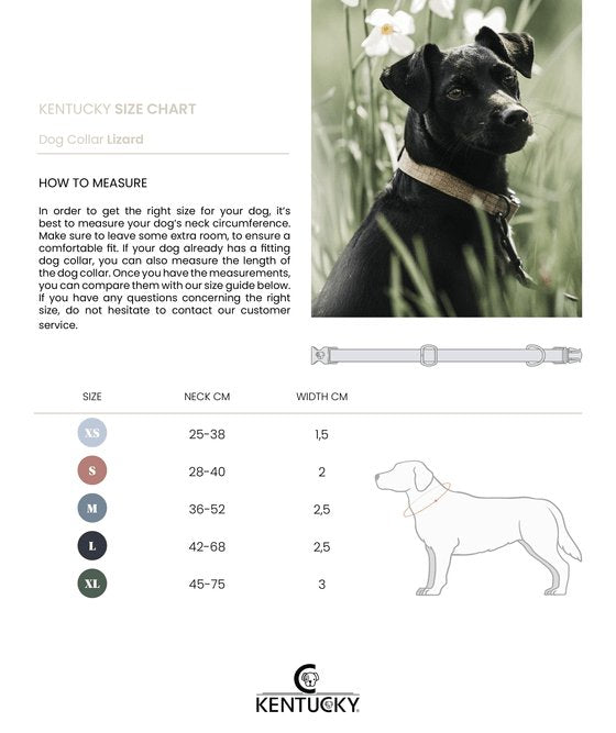 Kentucky Dog Collar Lizard - Brun - animondo.dk