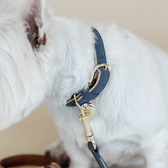 Kentucky Dog Collar Vegan Leather - Navy/Beige - animondo.dk