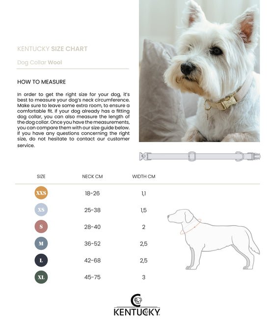 Kentucky Dog Collar Wool - Beige - animondo.dk