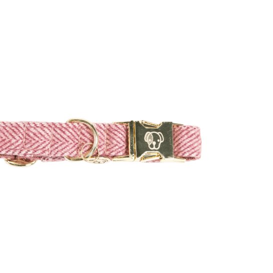 Kentucky Dog Collar Wool - Lys Pink - animondo.dk