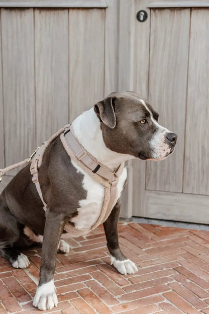 Kentucky Dog Harness Active Teddy Fleece - Beige - animondo.dk