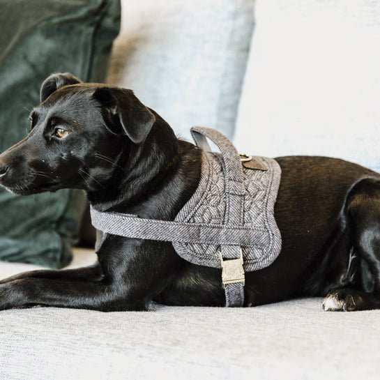 Kentucky Dog Harness Body Safe Wool - Grå - animondo.dk