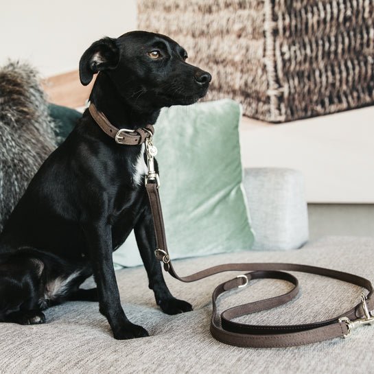 Kentucky Dog Lead Velvet Leather - Brun - 2 m - animondo.dk