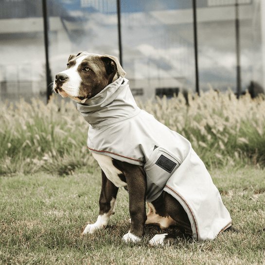 Kentucky Dog Rain Coat - Støvet Blå - animondo.dk