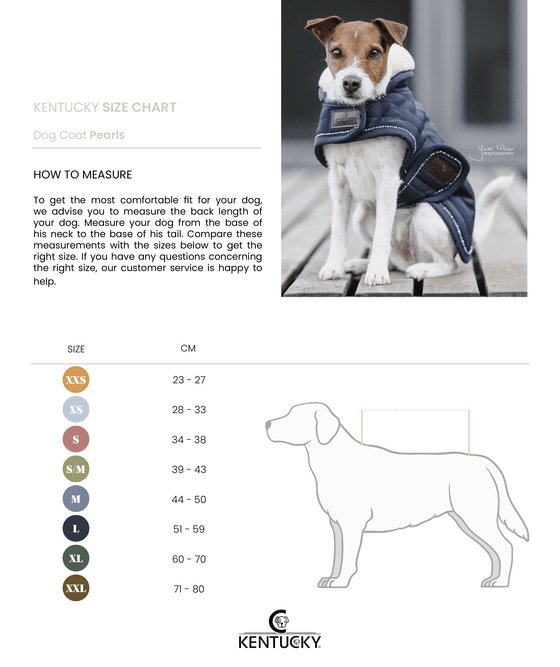 Kentucky Dog Rug - Navy Pearls - animondo.dk