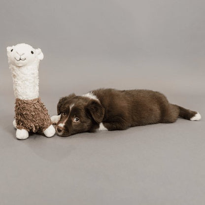 Kentucky Dog Soft Toy Alpaca AlfRedo - animondo.dk