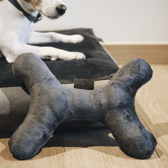 Kentucky Dog Toy - Bone - animondo.dk