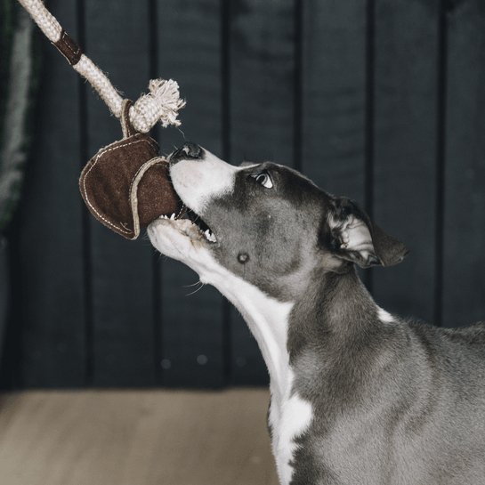 Kentucky Dog Toy Cotton Rope Baseball 5 stk. - animondo.dk