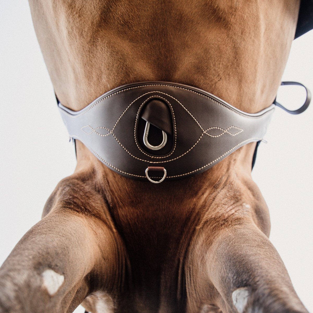 Kentucky Horsewear Anatomisk Gjord - Brun - animondo.dk