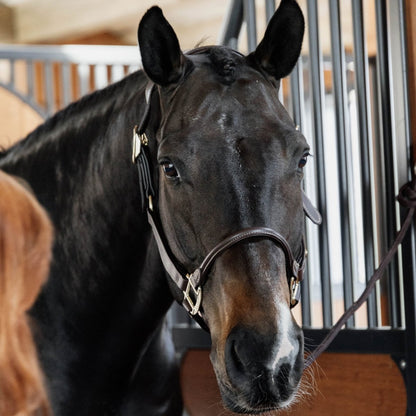 Kentucky Horsewear Anatomisk Grime i imiteret læder - Brun - animondo.dk