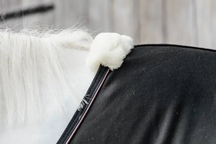 Kentucky Horsewear - "Cooler" Fleecedækken - Sort - animondo.dk - 52145 - 01 - 125