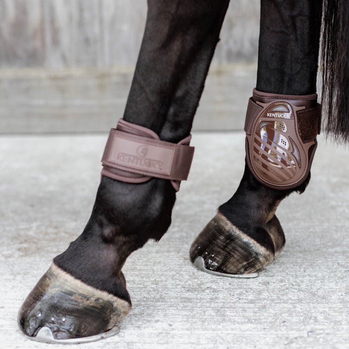 Kentucky Horsewear Gamacher, Bagben - Brun - animondo.dk