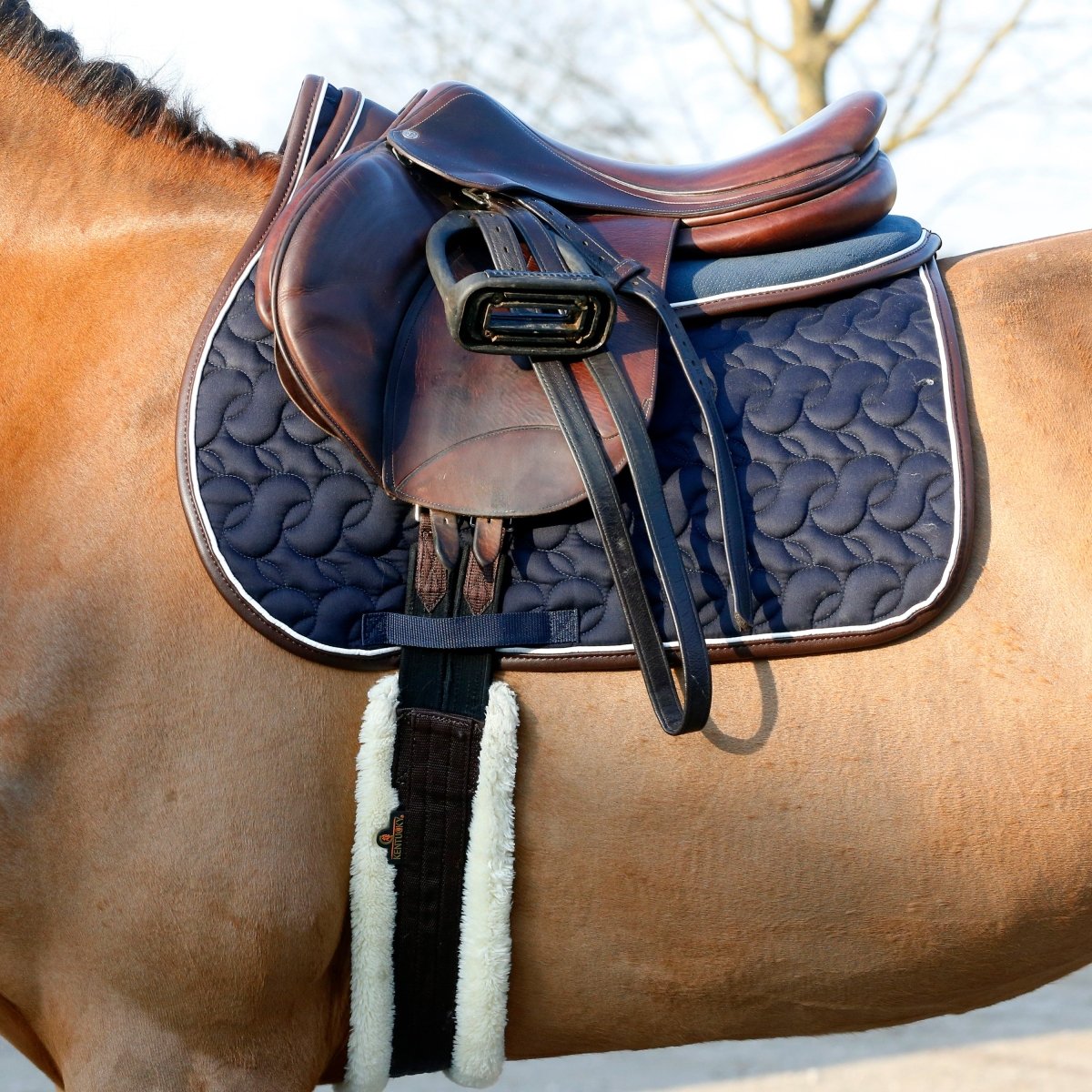 Kentucky Horsewear Lammeskindsgjord - Brun - animondo.dk