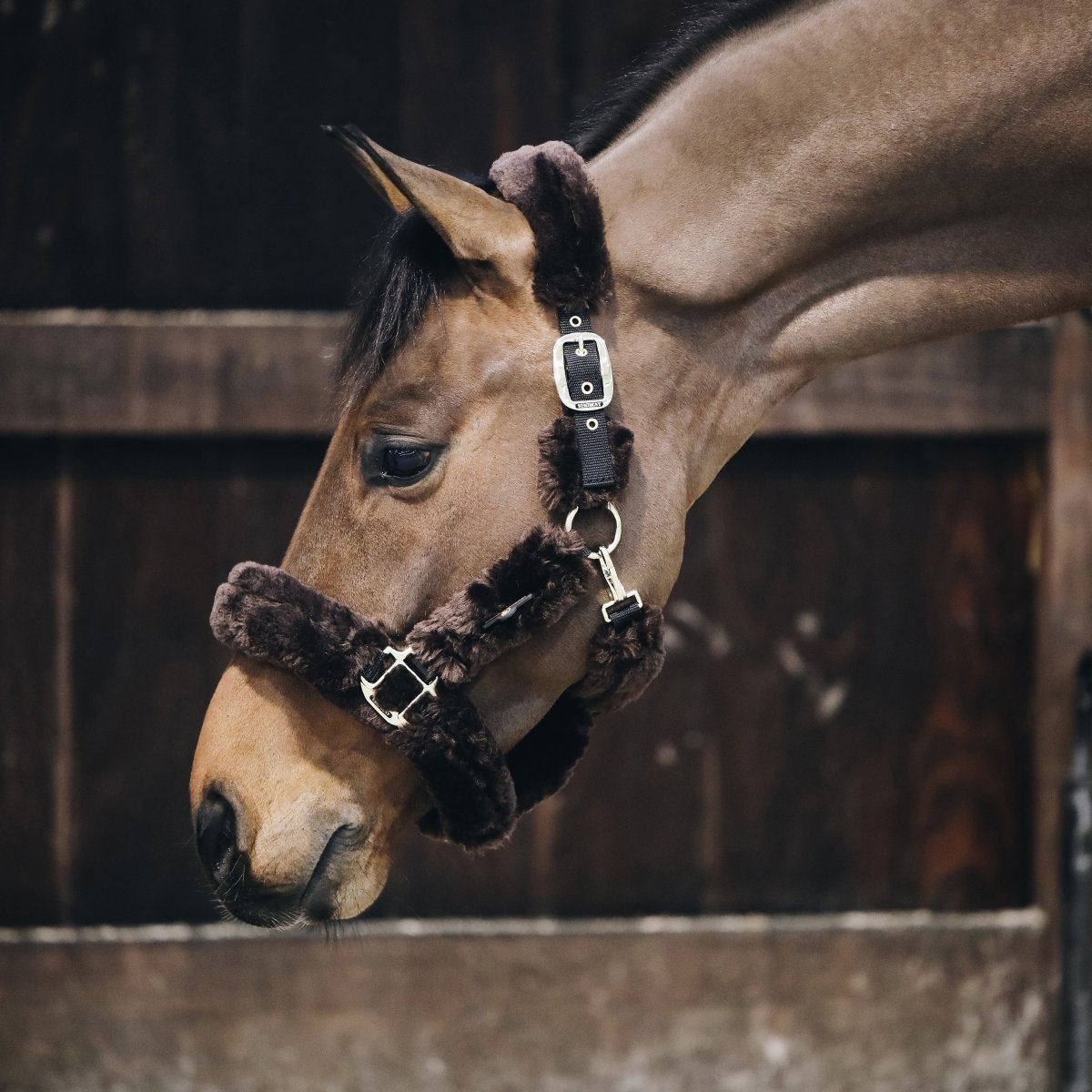 Kentucky Horsewear Lammeskindsgrime - Brun - animondo.dk