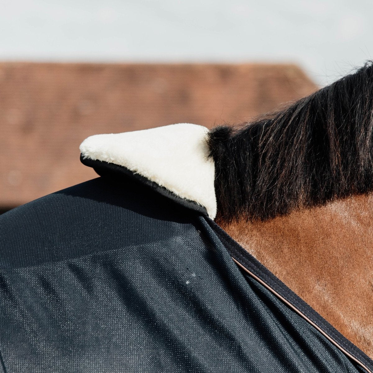 Kentucky Horsewear Mankebeskyttelse - Neutral - animondo.dk