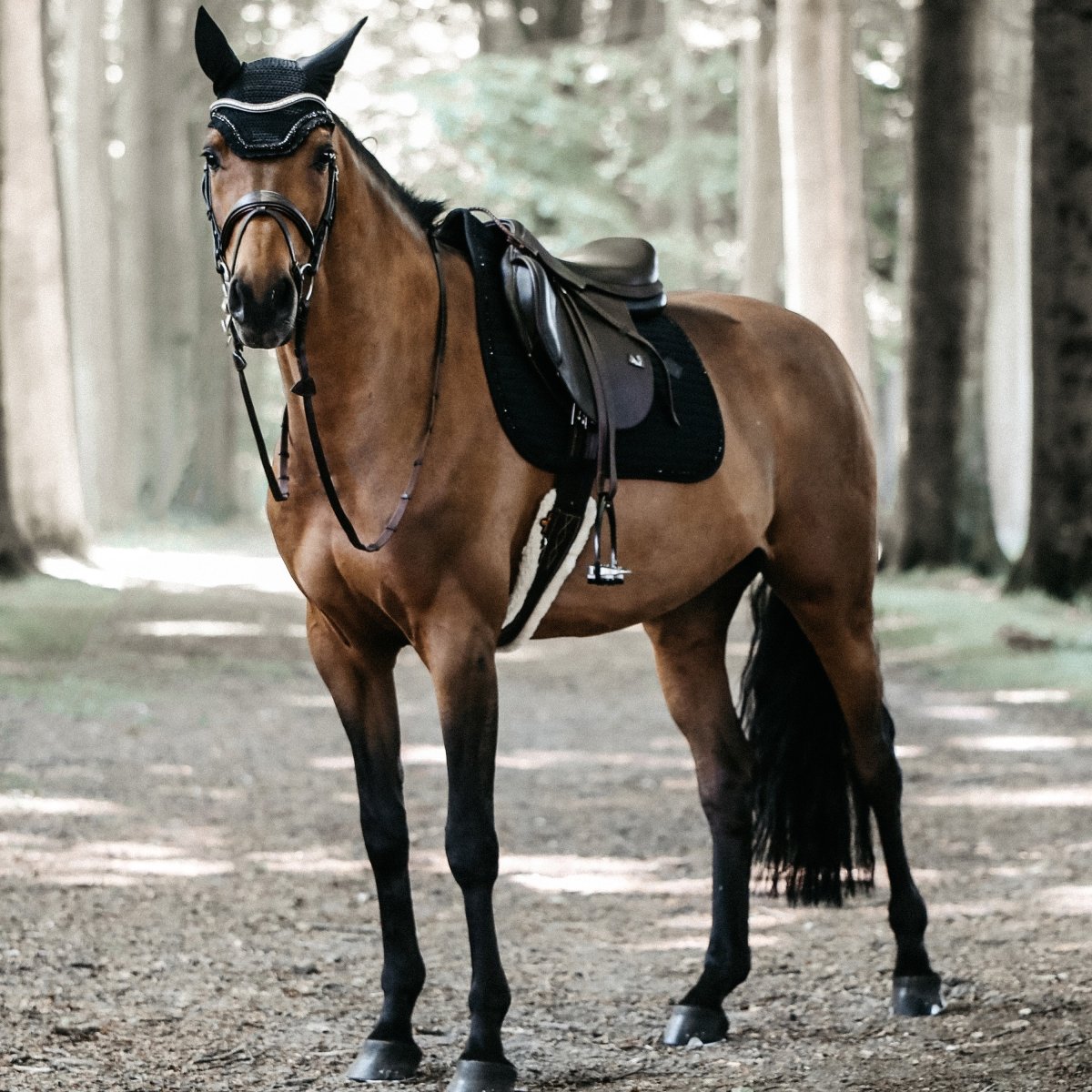 Kentucky Horsewear Pearls Show Springunderlag - Sort - animondo.dk
